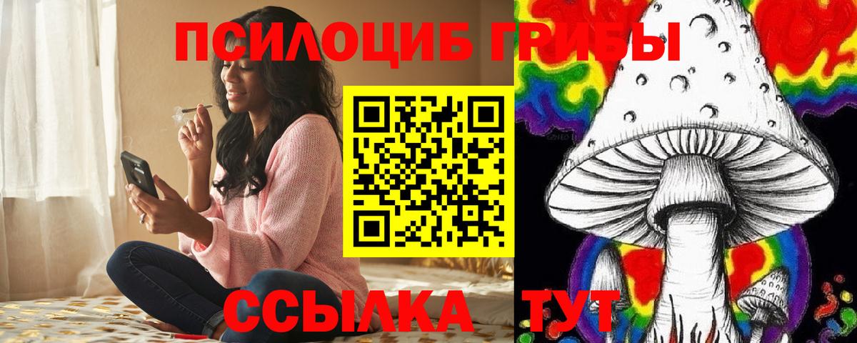 Сибай  Псилоцибиновые грибы мухоморы  Вход с VPN  Галлюциногенные грибы Psilocybe 